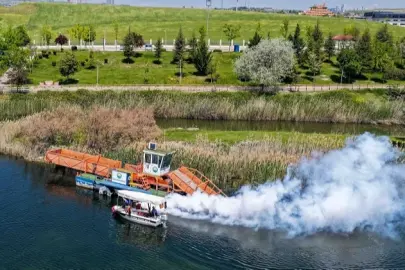 Başkent'te haşerelere geçit yok