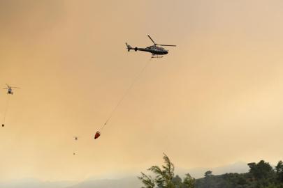 Orman yangınlarıyla mücadele sürüyor