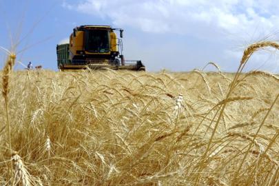 Türkiye, tarımsal hasılada geçen yıl 83 milyar doları aşarak rekor kırdı